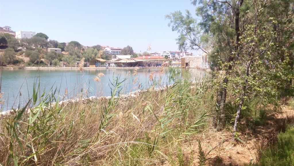 Datca Tuerk Evi Hotel Dış mekan fotoğraf
